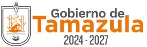 Gobierno Municipal de Tamazula